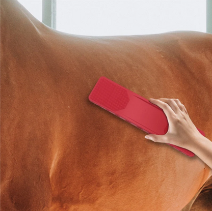 Horse Grooming Brush