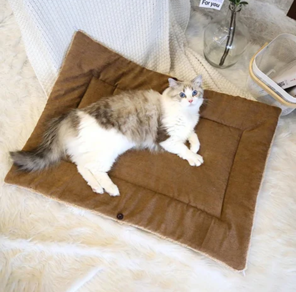 2-in-1 Cozy Bed and Blanket for Cats