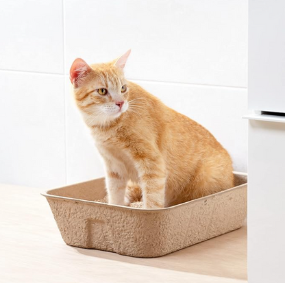 Biodegradable Cat Litter Box - Sustainable Hygiene For Your Pet