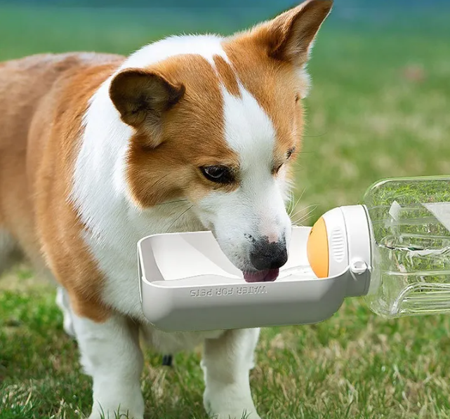 2-in-1 Drinking Bottle For Dogs - Water Bottle With Food Bowl For On The Go