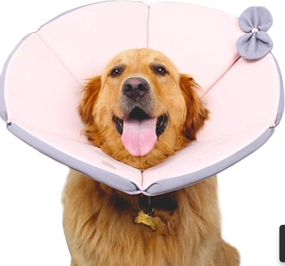Soft Dog Collar With Comfort - Protective Collar For Dogs After Operations In Yellow And Brown