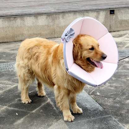 Soft Dog Collar With Comfort - Protective Collar For Dogs After Operations In Yellow And Brown
