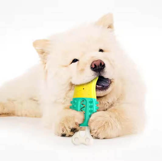 Chew Toy For Dogs - Interactive Toy With Suction Function For Dental Care