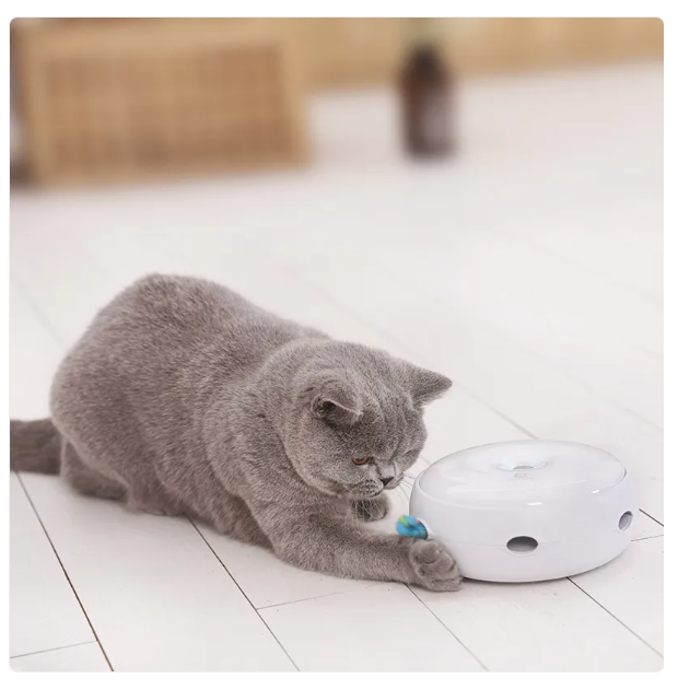 Interactive Cat Toy - Automatic Toy With Rainbow Fluffy Feather
