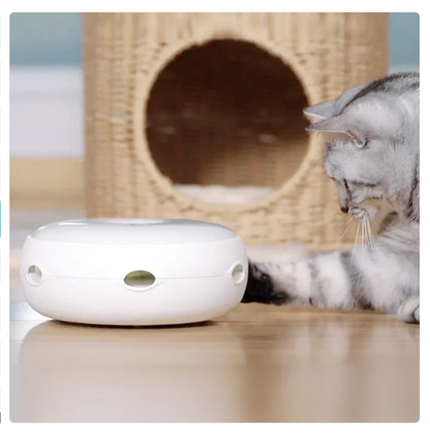 Interactive Cat Toy - Automatic Toy With Rainbow Fluffy Feather