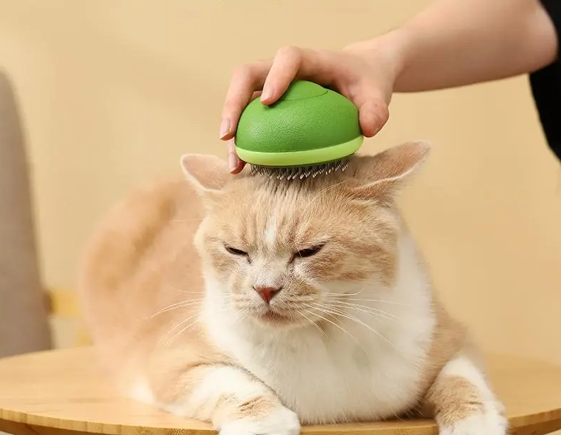 Avocado Hair Brush - Multifunctional Hair Care Brush For Shine And Volume