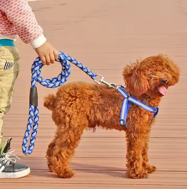 Reflective Dog Harness With Lead - Safe Set For Walks In The Dark