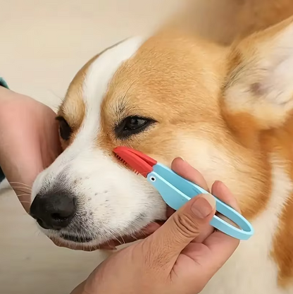 Tick Tweezers For Pets - Precise & Gentle Removal