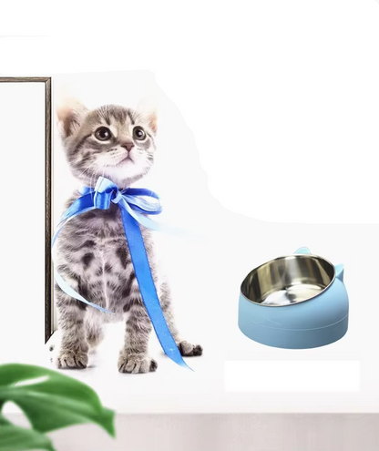 Cat Bowl With 15 - Degree Incline For Comfortable Eating