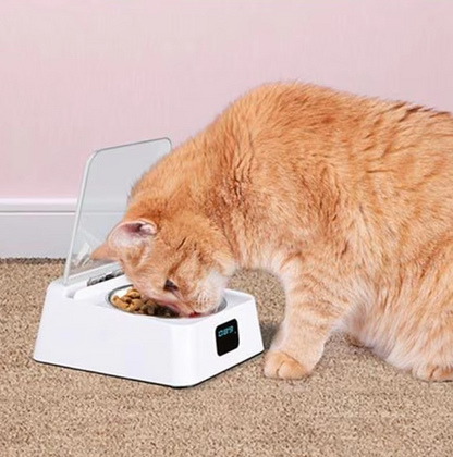 Automatic Food Dispenser For Cats With Digital Display And Lid