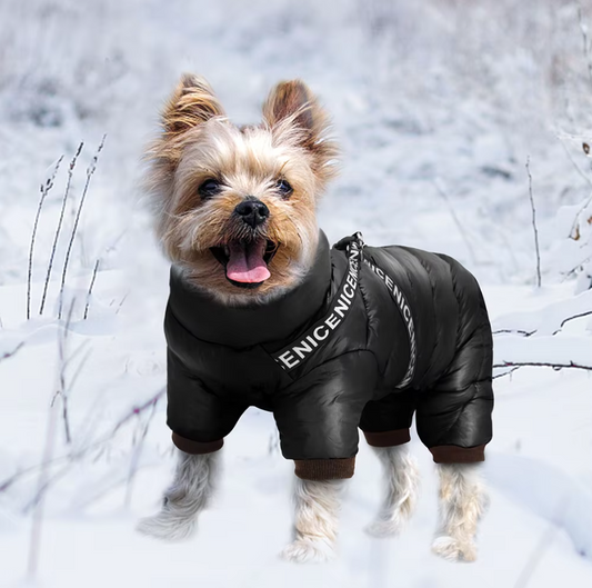 Dog Winter Coat For Cold Days