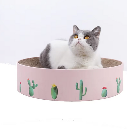 Cardboard Cat Bow With Cactus Design - Modern Style Scratching Board
