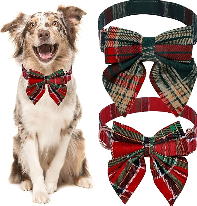 Coloured Dog Collar With Bow For Christmas And Festive Occasions