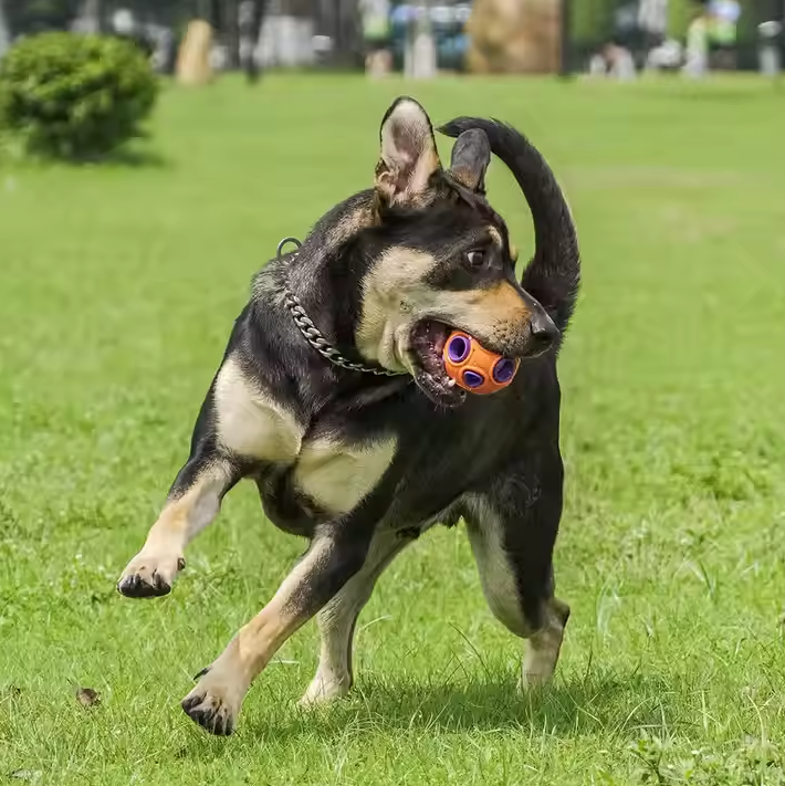 Interactive Dog Toy Ball - With Music And Light Function For Dogs