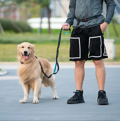 Free - Handed Dog Lead With Fanny Pack