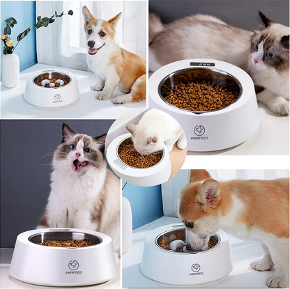 Automatic Food Dispenser For Dogs And Cats - Interactive Food Bowl With Digital Display