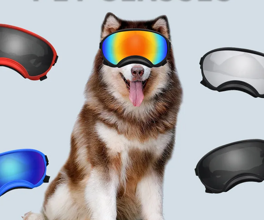 Safety Goggles For Dogs - Stylish Pet Goggles With Uv Protection In Different Colors