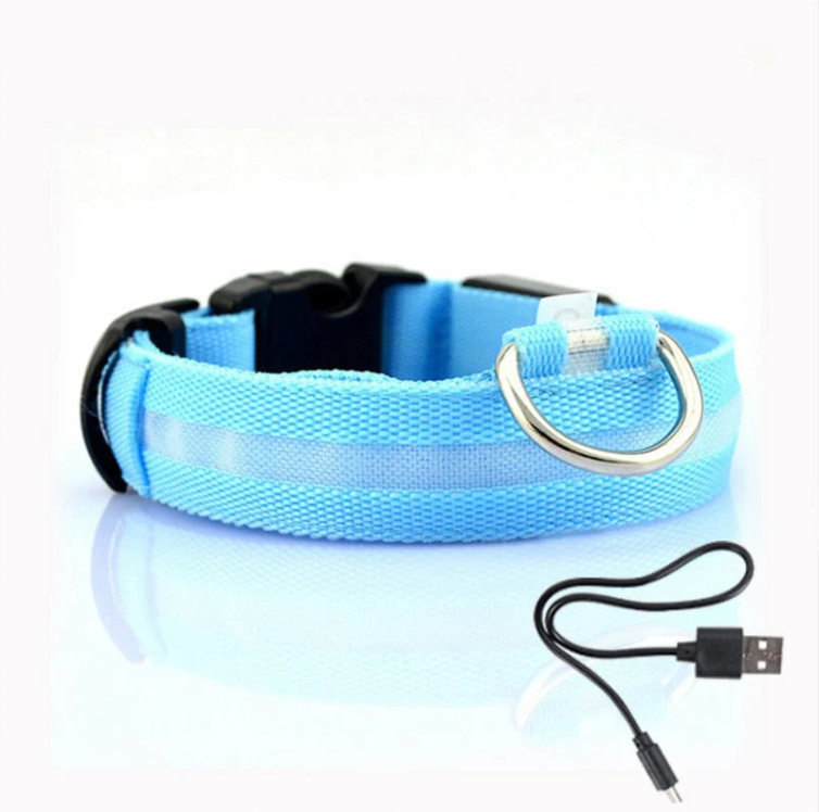 Dog Collar With Led Lights