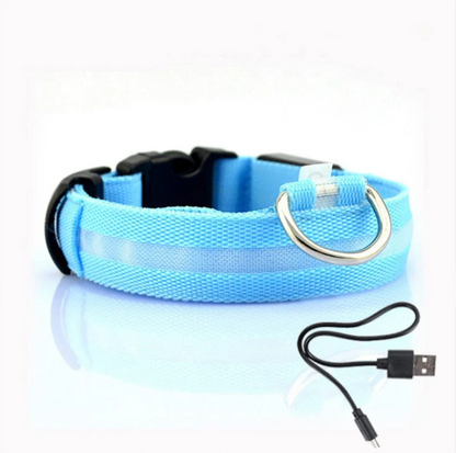 Dog Collar With Led Lights