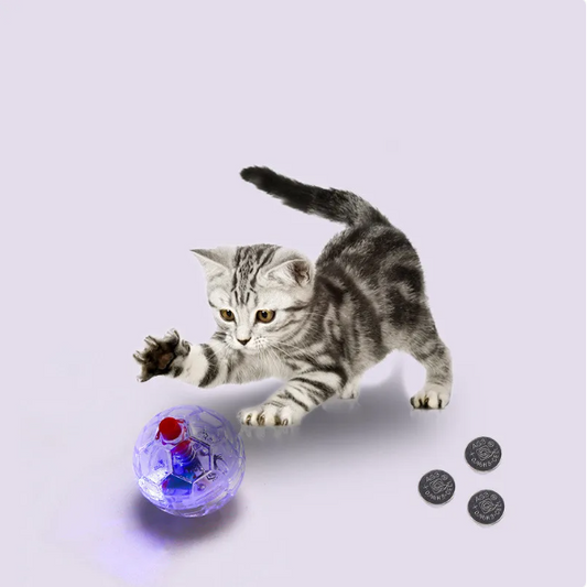 Luminous Football Toy for Dogs - Interactive Ball Toy with Led Lights