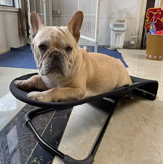 Swing Chair for Dogs and Cats with Non - Slip Frame and Comfortable Lying Surface