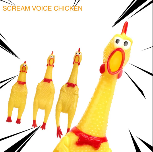 Squeaky Rubber Chicken - Fun Dog Toy