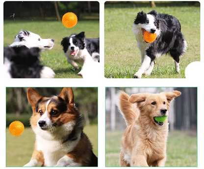 Nub Ball Dog Toy - Dental Care And Massage Ball For Playful Activity