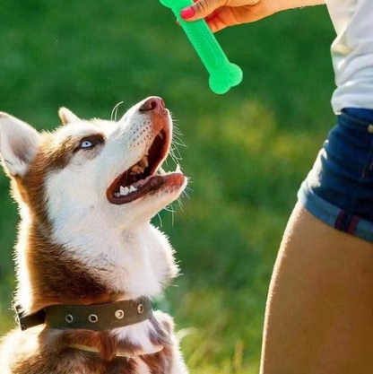 Teeth Cleaning Chew Bone For Dogs - Robust Rubber Teething Toy