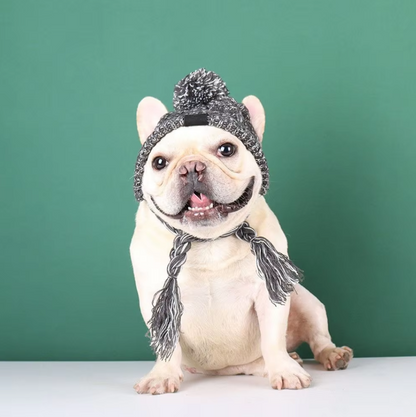 Knitting Hat For Pets With Pompom And Pigtails In Pink