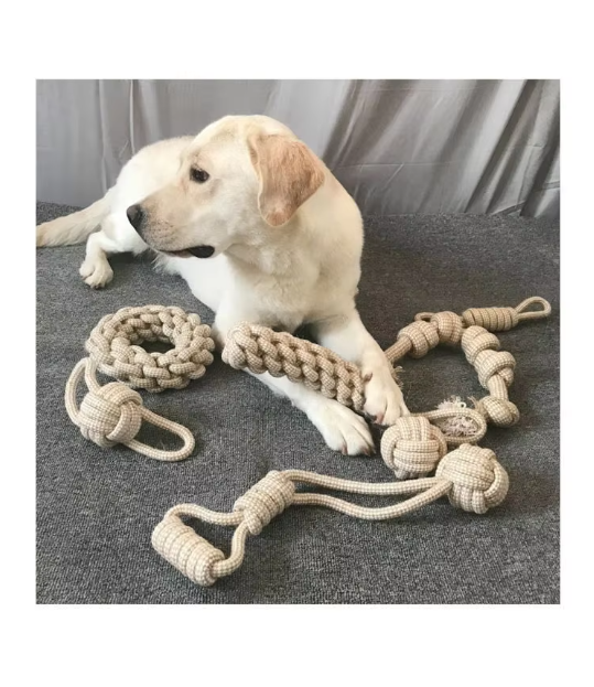 Robust Chew Toy Set Made Of Rope - Long - Lasting Fun For Dogs
