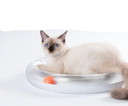 Interactive Cat Toy - Scratching Board With Balls For Hours Of Fun