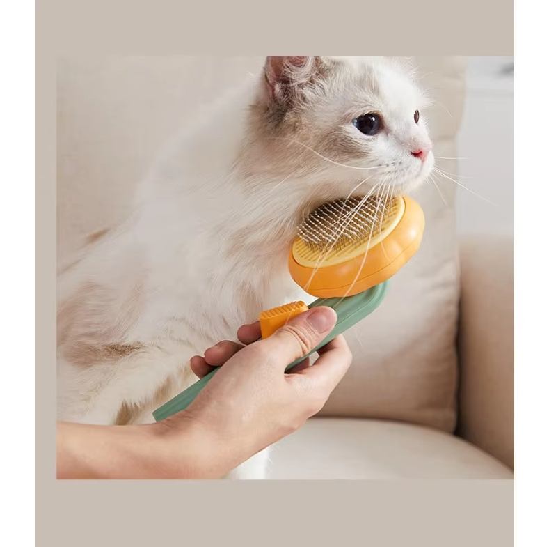Cat Brush With Fur Remover - Gentle Care For Cat Hair