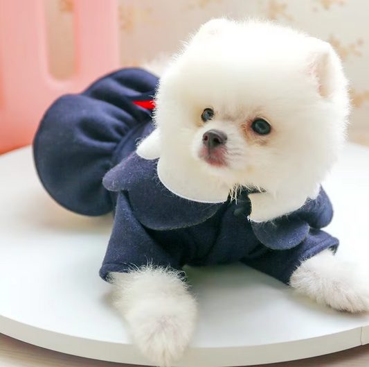 Dog Coat In Red With Elegant Collar Look - Soft And Comfortable For Small Dogs