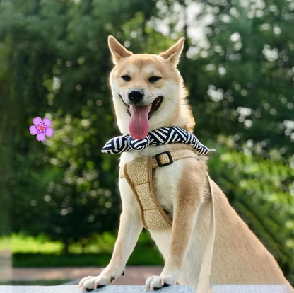 Cooling Dog Bandana With Traditional Pattern For Hot Days