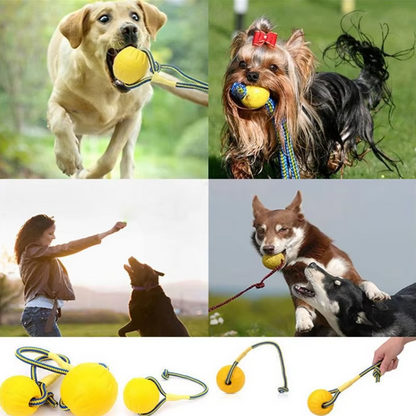 Robust Dog Toy - Retrieving and Tugging Ball with Rope