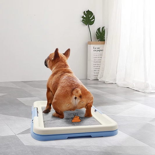 Dog Toilet Indoor - Clean Litter Box With Non-slip Mat For Puppies Small Dogs
