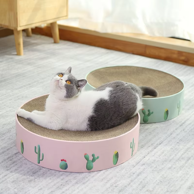 Cardboard Cat Bow With Cactus Design - Modern Style Scratching Board