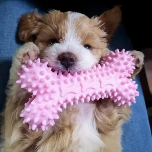 Puppy Toy Set - Bite - Resistant Plush Chew Toys For Dogs
