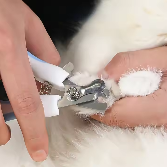 Claw Scissors for Pets with Safety Lock and File