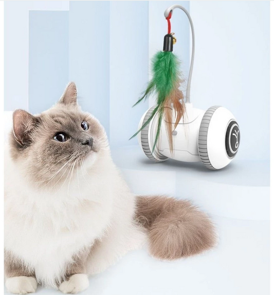 Interactive Cat Toy With Feather - Robot Toy For Cats
