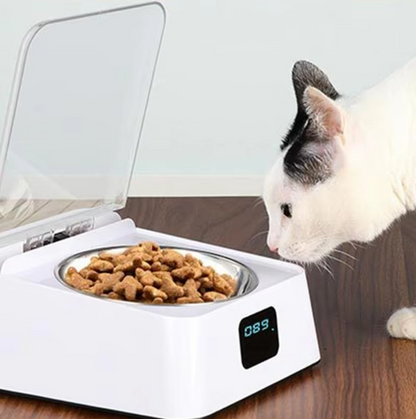 Automatic Food Dispenser For Cats With Digital Display And Lid