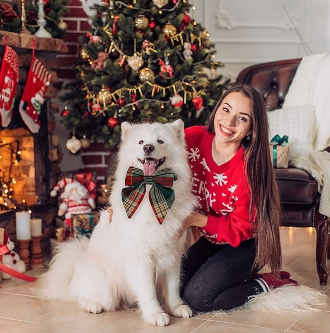 Coloured Dog Collar With Bow For Christmas And Festive Occasions