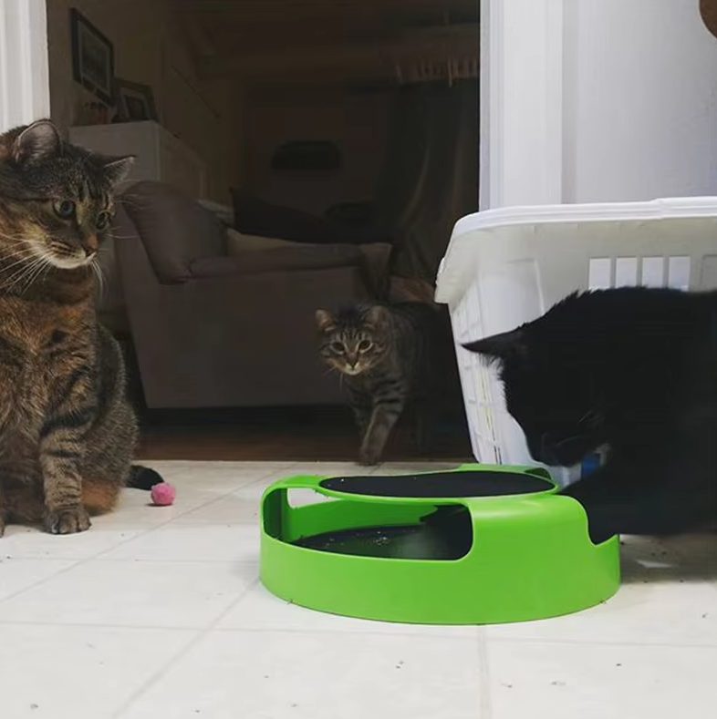 Interactive Cat Toy With Mouse - Toy With Movable Mouse For Cats