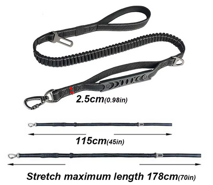 Elastic Dog Lead With Shock Absorption - Shock-absorbing Lead For Walks
