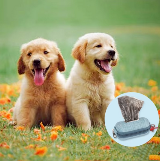 Practical Bag For Dog Waste Bags - Compact Storage With Carrying Handle