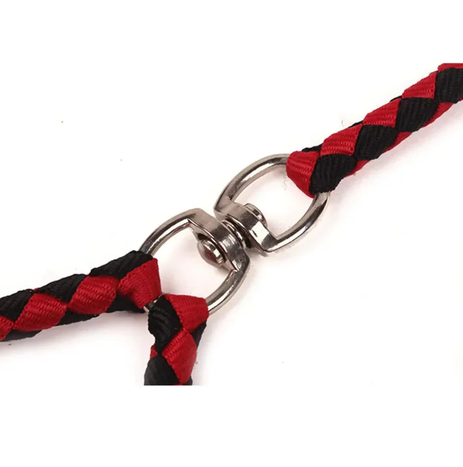 Twin Dog Leash In Check Pattern - Robust Leash For Two Dogs