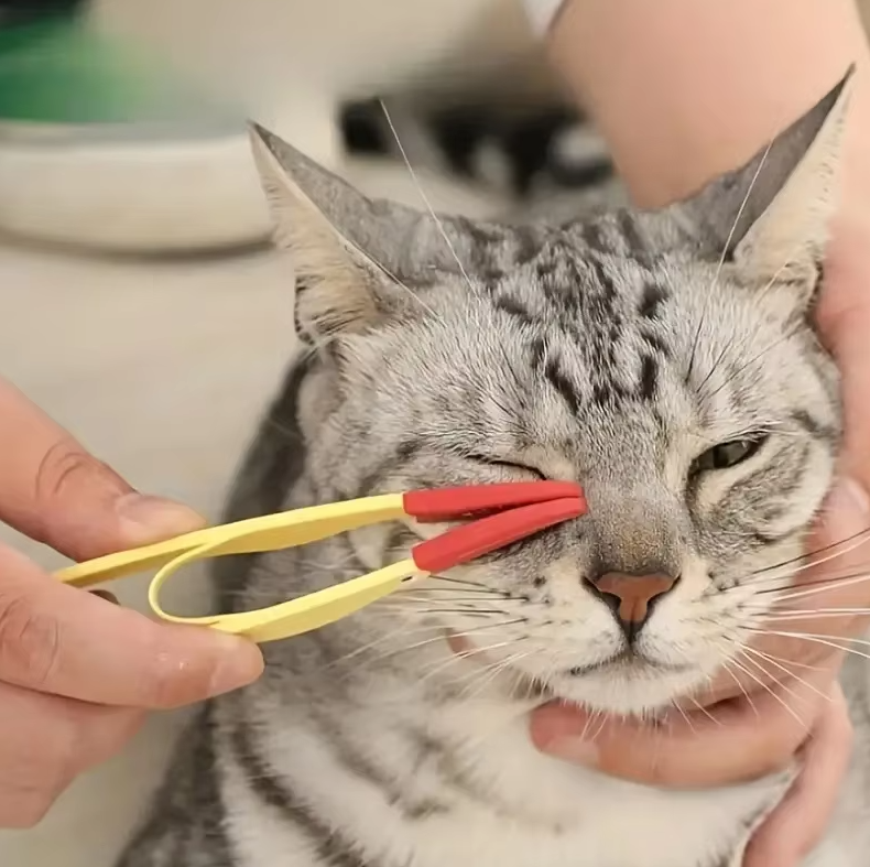 Tick Tweezers For Pets - Precise & Gentle Removal