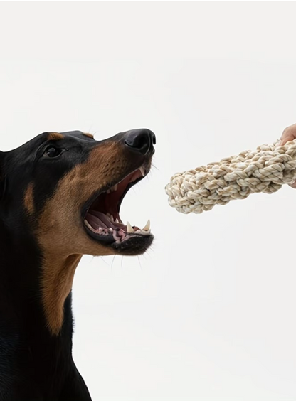 Robust Chewing Ring For Dogs - Natural Rope Toy For Healthy Gums