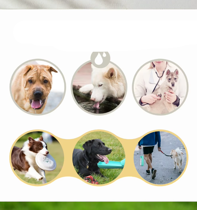 Portable Dog Water Bottle - Leak - Proof Travel Dispenser With Integrated Drinking Bowl