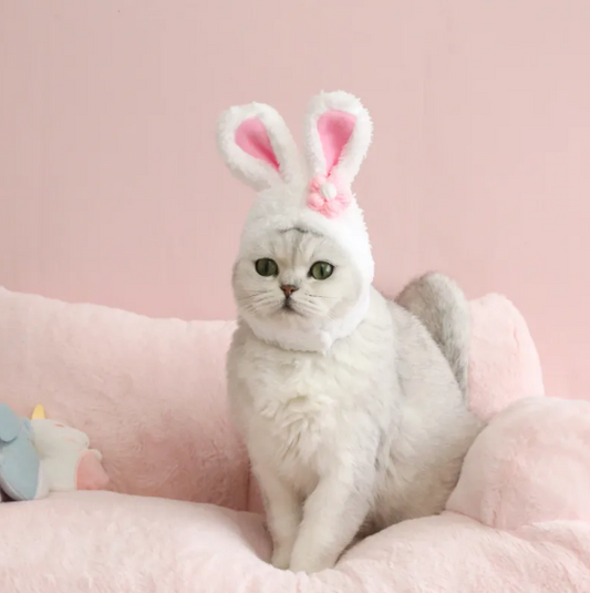 Cute Bunny Ears Cat Hat With Carrot Or Flower Design For Cute Pet Photos